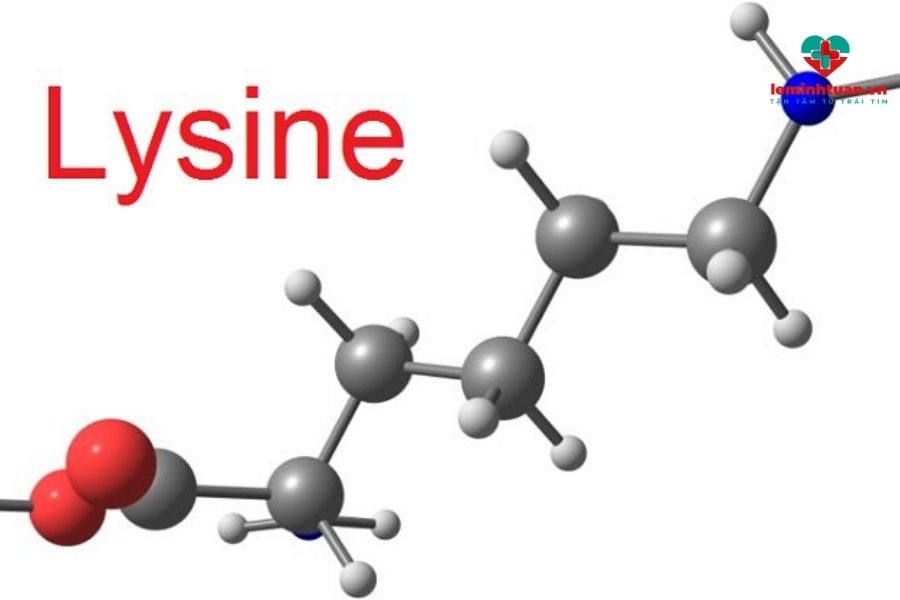 Lysine là acid amin cần thiết của cơ thể