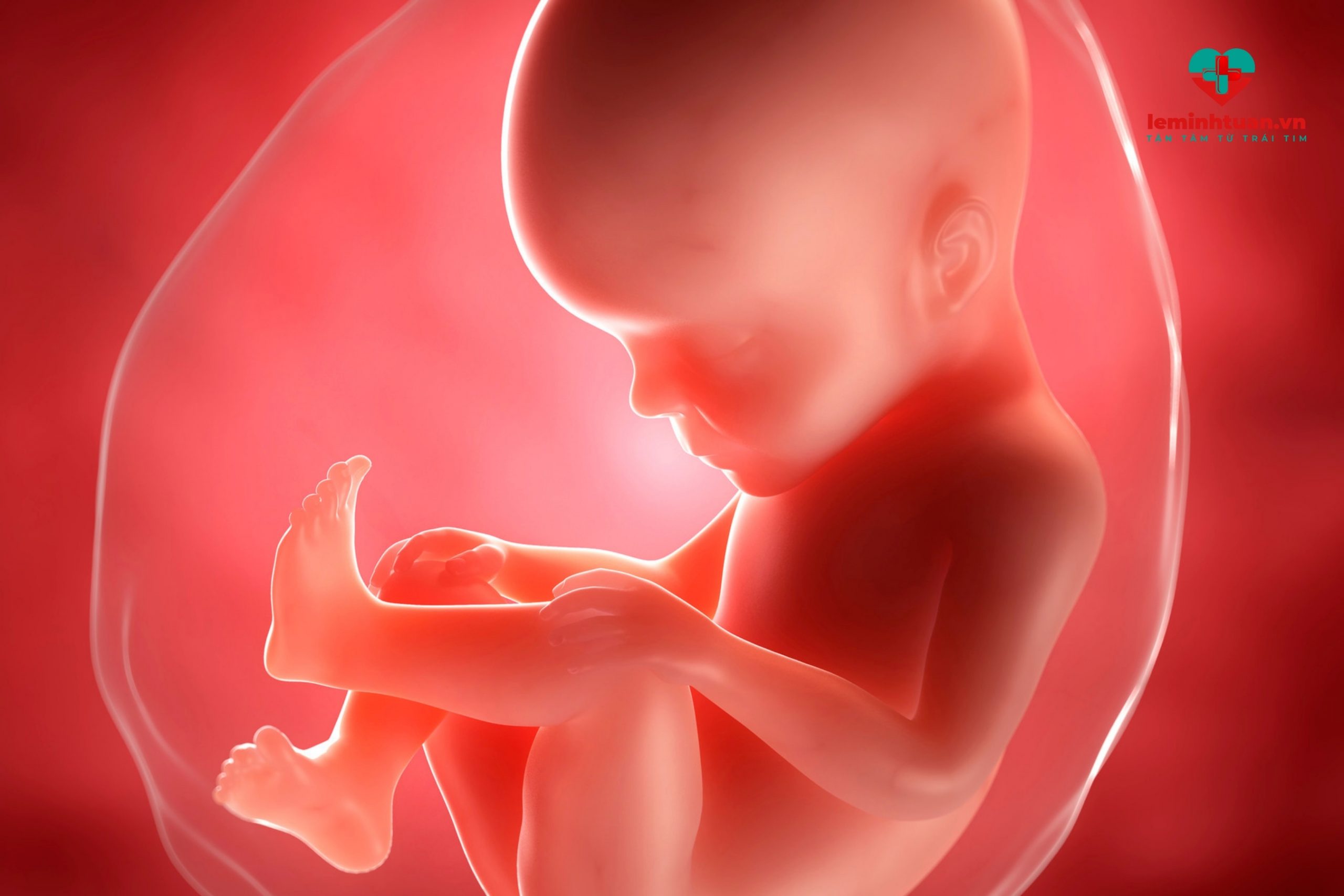 Giai đoạn bào thai - giai đoạn trẻ phát triển chiều cao nhanh nhất 