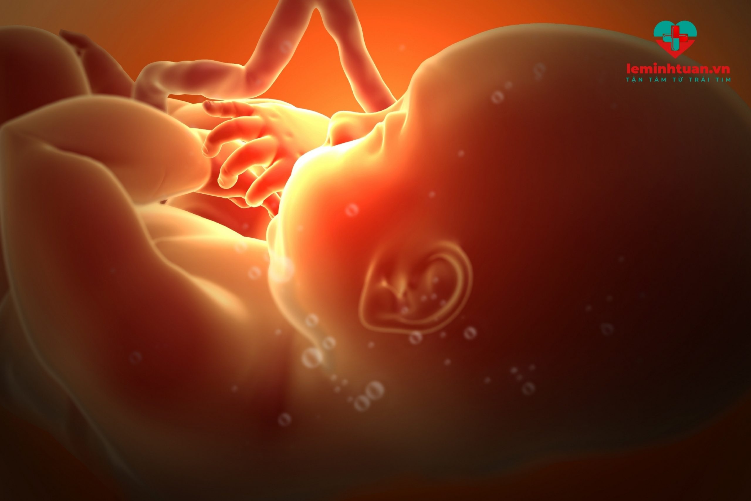 Thời kỳ bào thai - giai đoạn vàng tăng chiều cao cho trẻ em