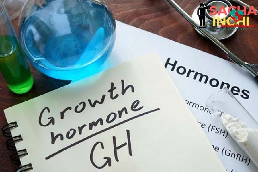 GH hormon tăng chiều cao