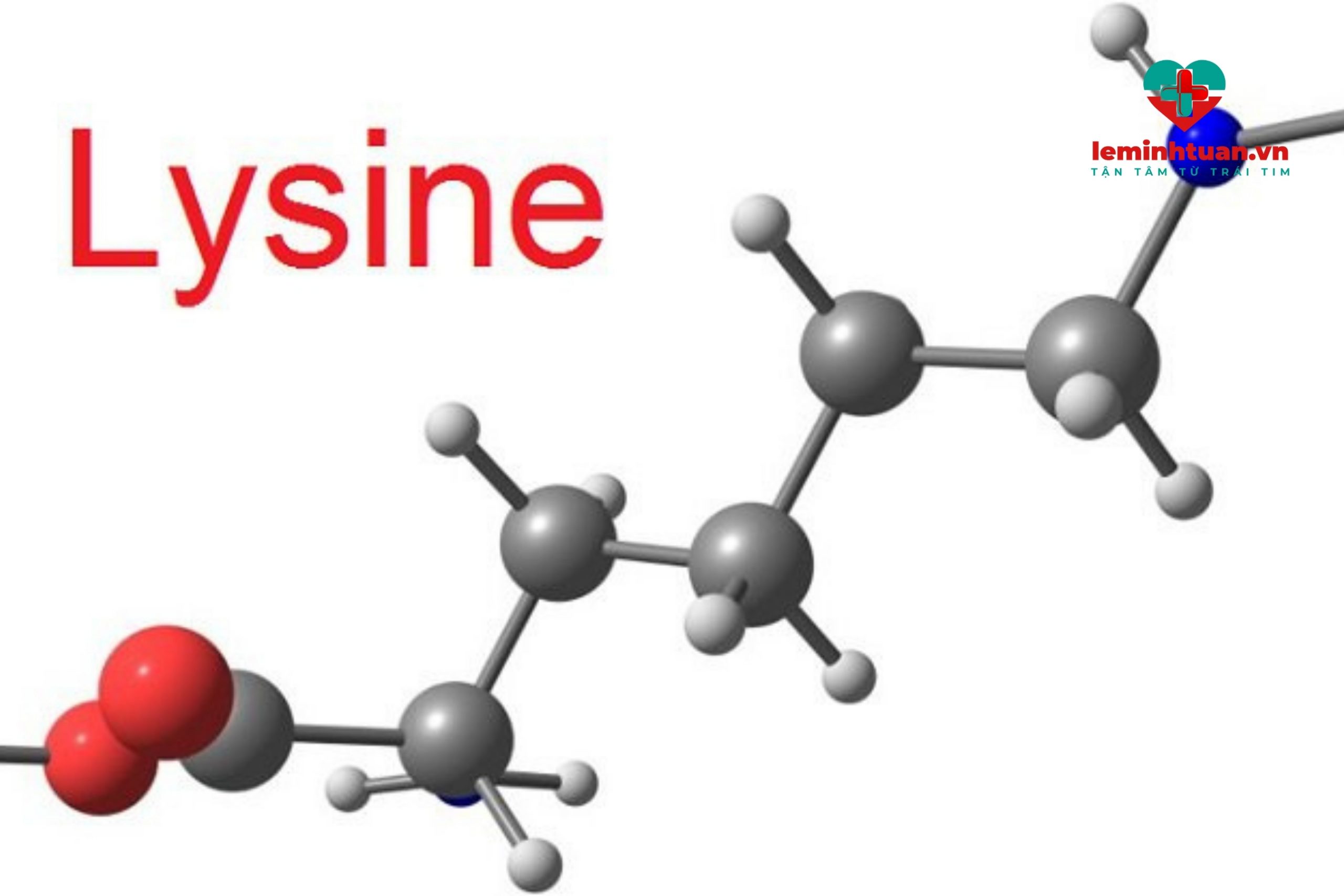 Thuốc hỗ trợ tiêu hóa cho người lớn làm ăn ngon thuốc kháng Lysine