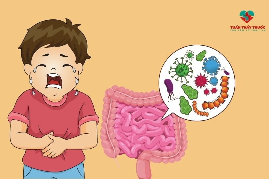 Nhiễm khuẩn đường ruột làm trẻ kém hấp thu