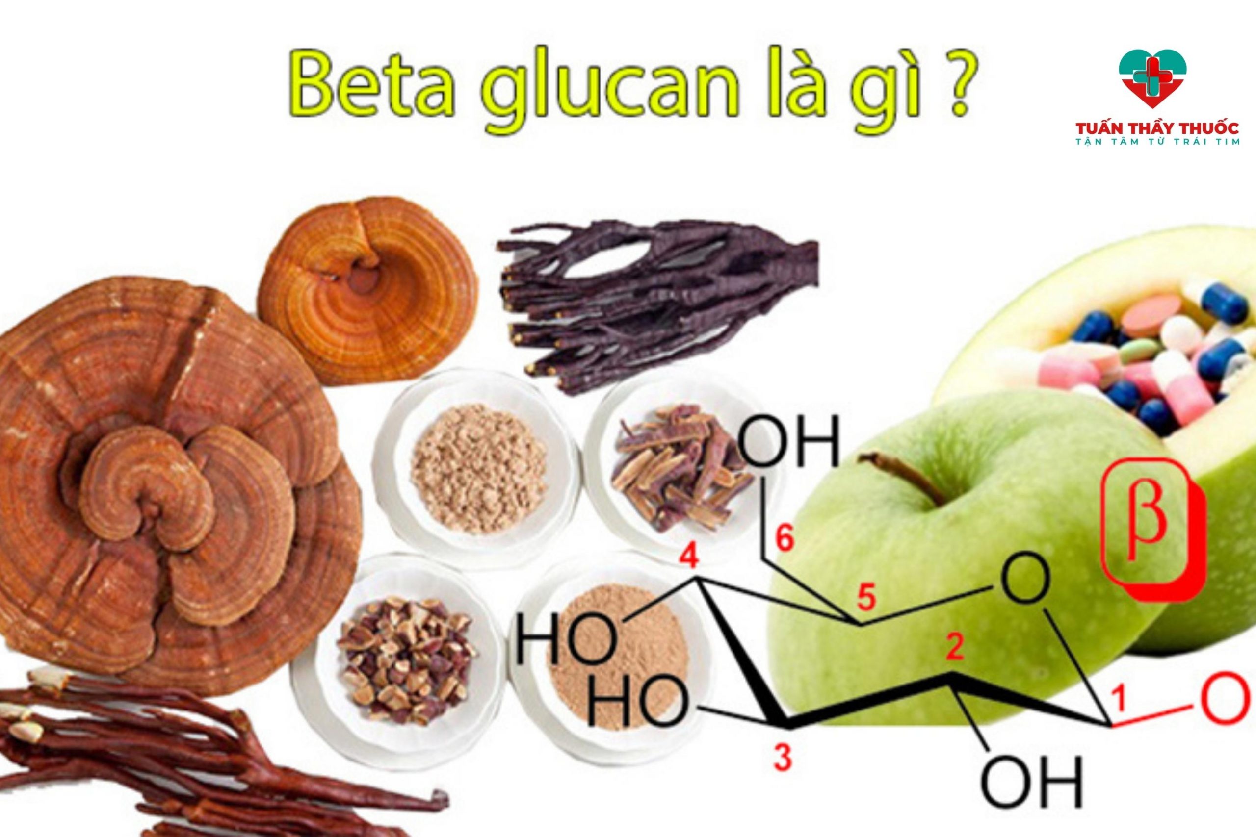 Beta glucan là gì?
