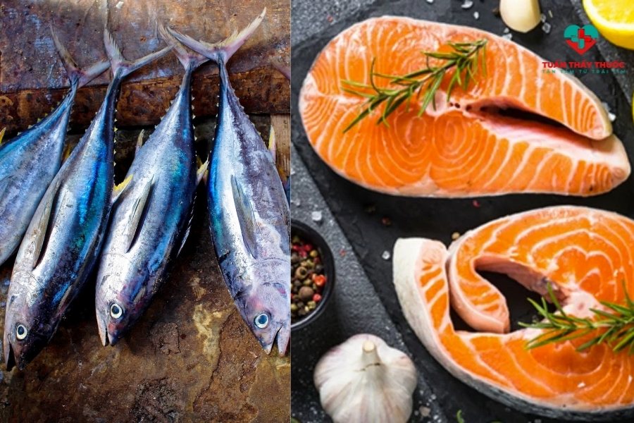 Vitamin B5 có tác dụng gì khi bổ sung từ cá