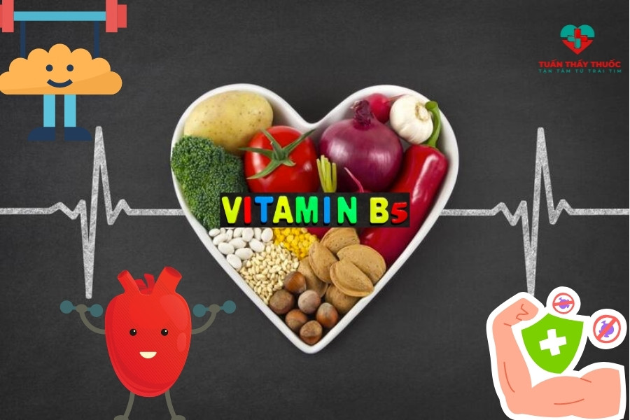 Vitamin B5 có tác dụng gì?