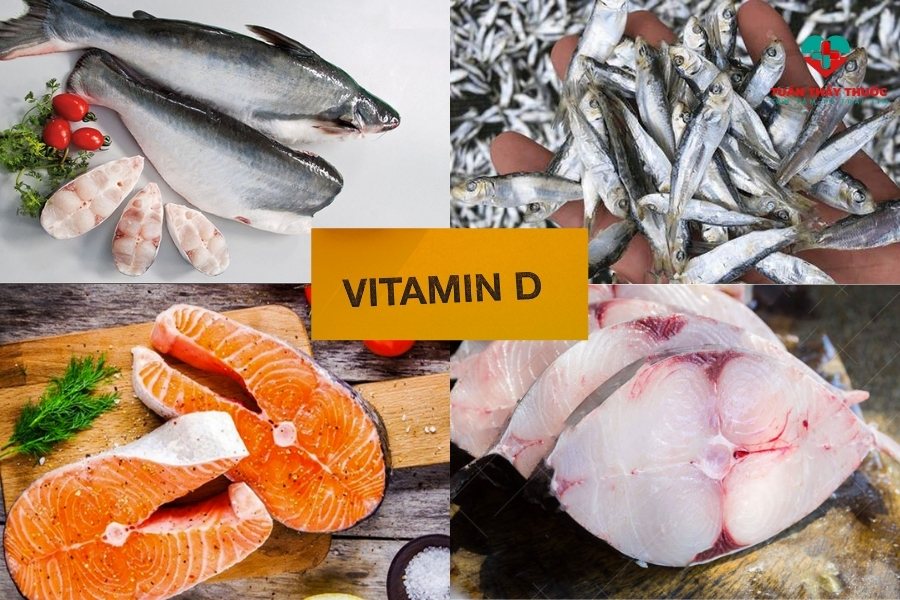 Vitamin D có nhiều trong thực phẩm nào: các loại cá