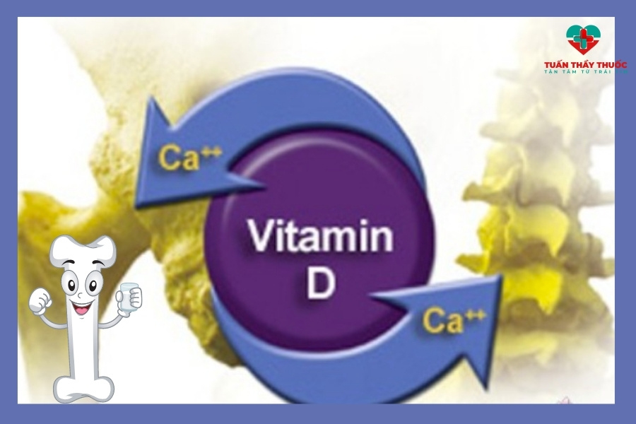 Vitamin D giúp xương chắc khoẻ