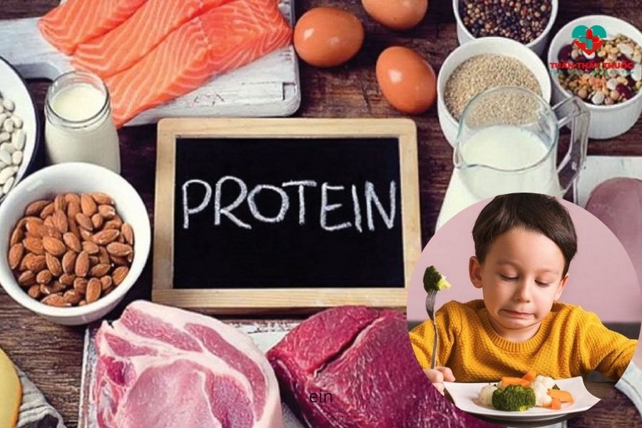 Bé biếng ăn chậm tăng cân nên bổ sung gì: Protein từ thịt, cá, trứng, sữa