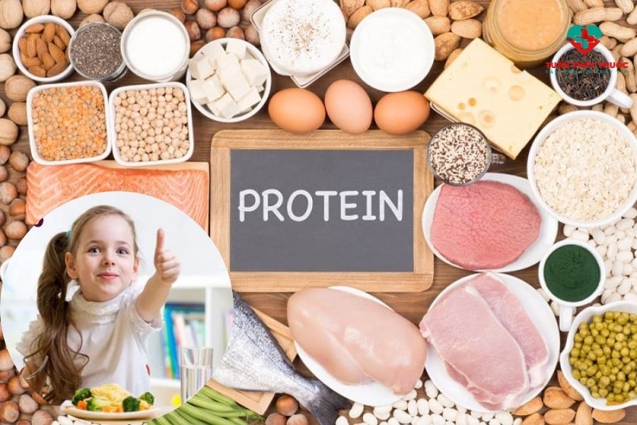 Bé lười ăn nên bổ sung gì: Protein từ thịt, cá, trứng, sữa
