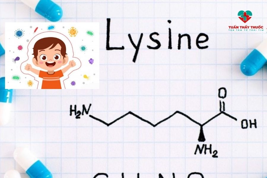 Lysine giúp tăng cường sức đề kháng cho bé