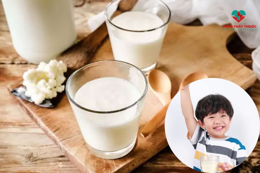 Trẻ biếng ăn nên bổ sung gì: Sữa và các chế phẩm từ sữa