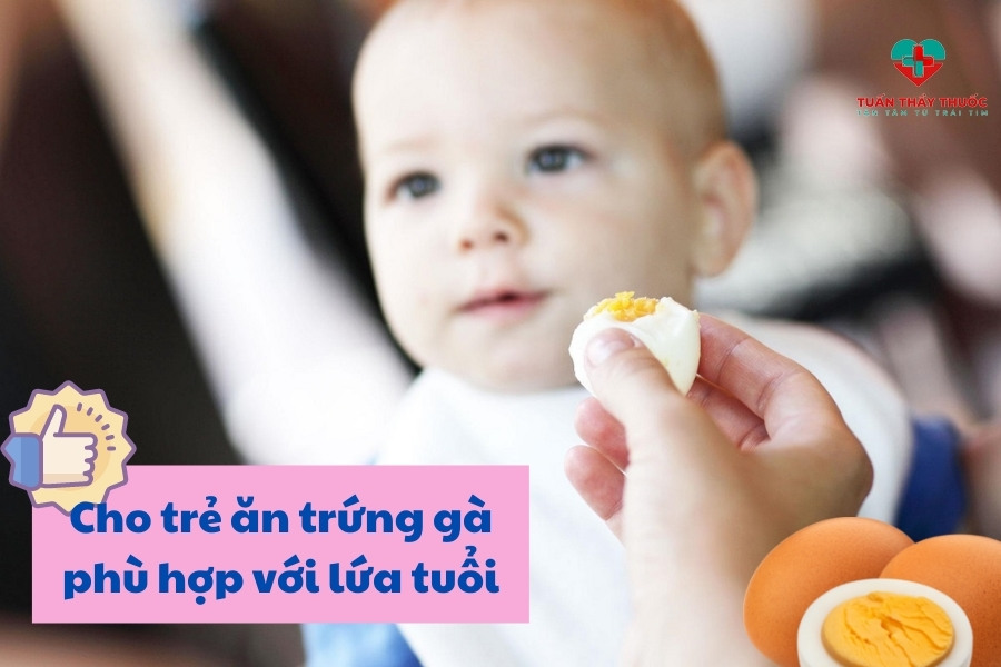 Hãy cho trẻ ăn trứng gà đúng cách