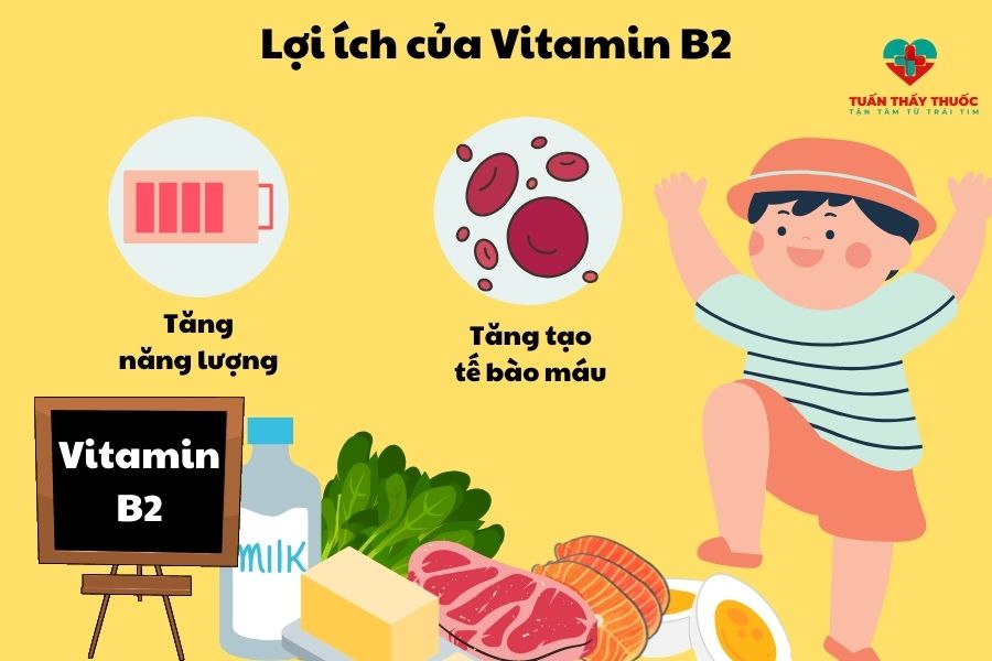 Vitamin B2 giúp tạo ra năng lượng và hồng cầu cho trẻ