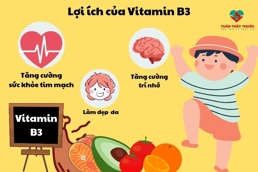 Vitamin B3 giúp tăng cường sức khỏe tim mạch và trí nhớ