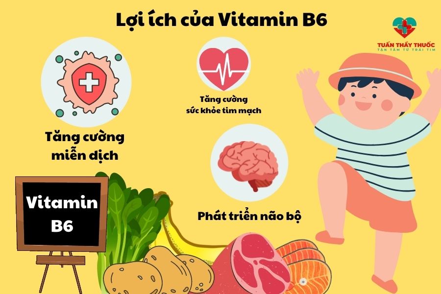 Vitamin B6 giúp tăng cường chức năng miễn dịch và não bộ