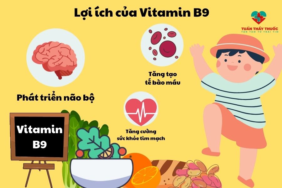 Vitamin B9 quan trọng đối với sự phát triển não bộ ở trẻ