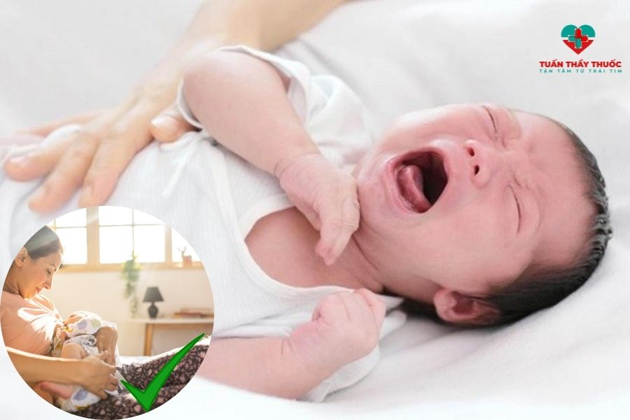 Trẻ bị rối loạn tiêu hoá nên ăn gì: Cho bé bú mẹ
