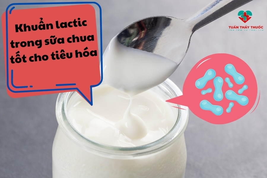 Vi khuẩn lactic trong sữa chua tốt cho hệ tiêu hóa của trẻ