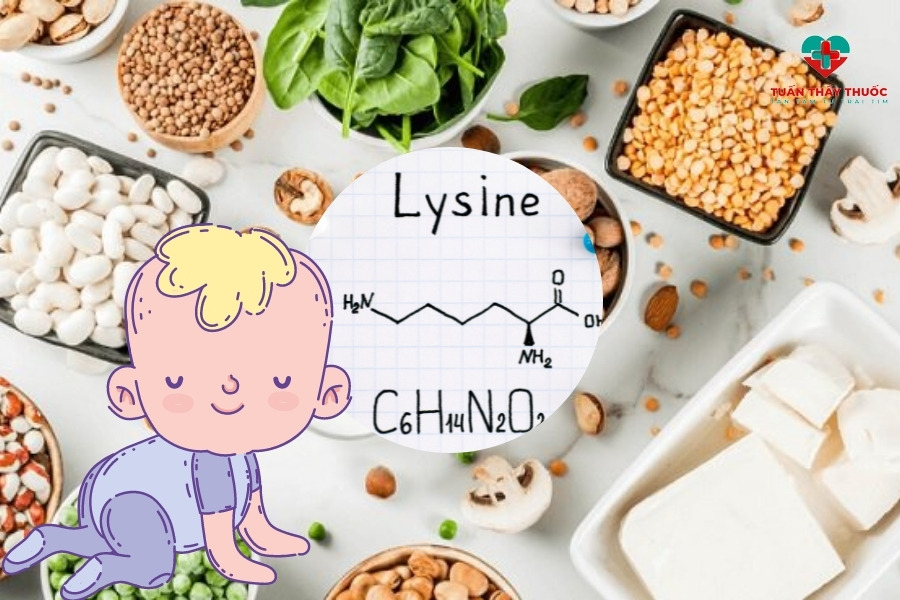 Cung cấp lysine cho bé 6 tháng đến 12 tuổi khi có biểu hiện biếng ăn