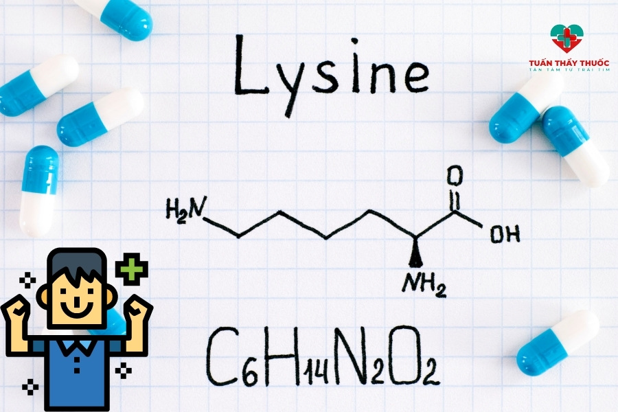 Bổ sung Lysine cho trẻ biếng ăn giúp tăng cường hệ miễn dịch