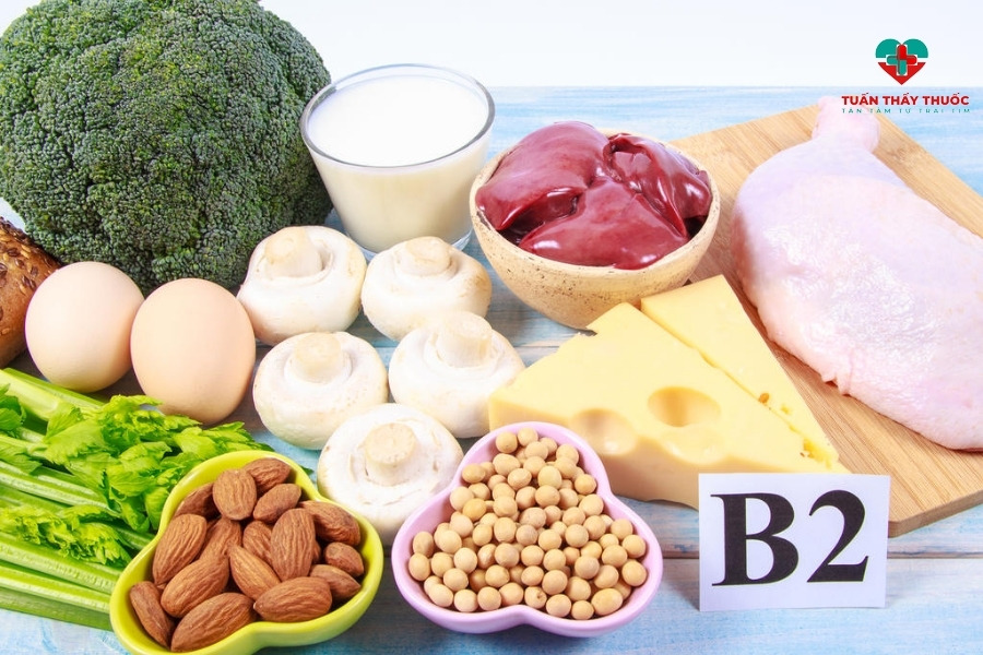 Vitamin gì giúp tăng chiều cao cho bé hiệu quả: Vitamin B2