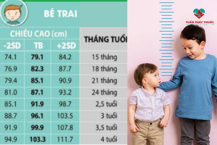Số đo chiều cao cho bé từ 1-4 tuổi
