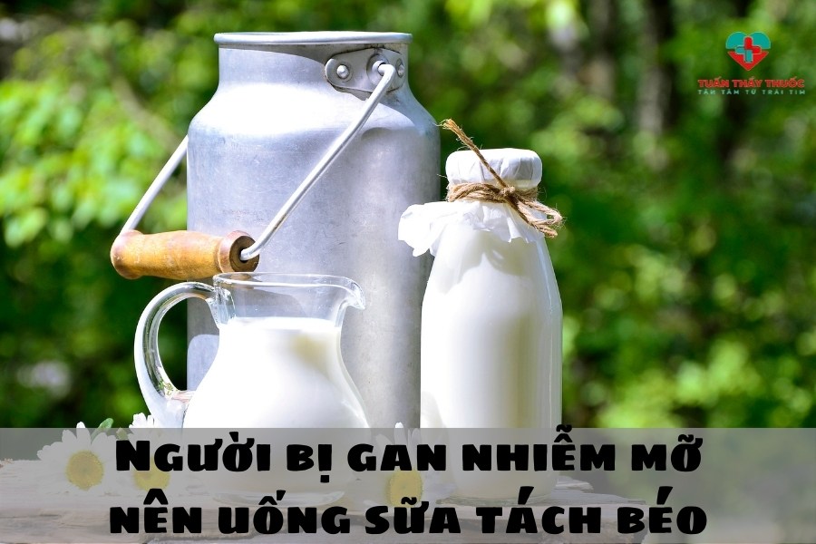 Thức ăn trị gan nhiễm mỡ: Sữa tách méo