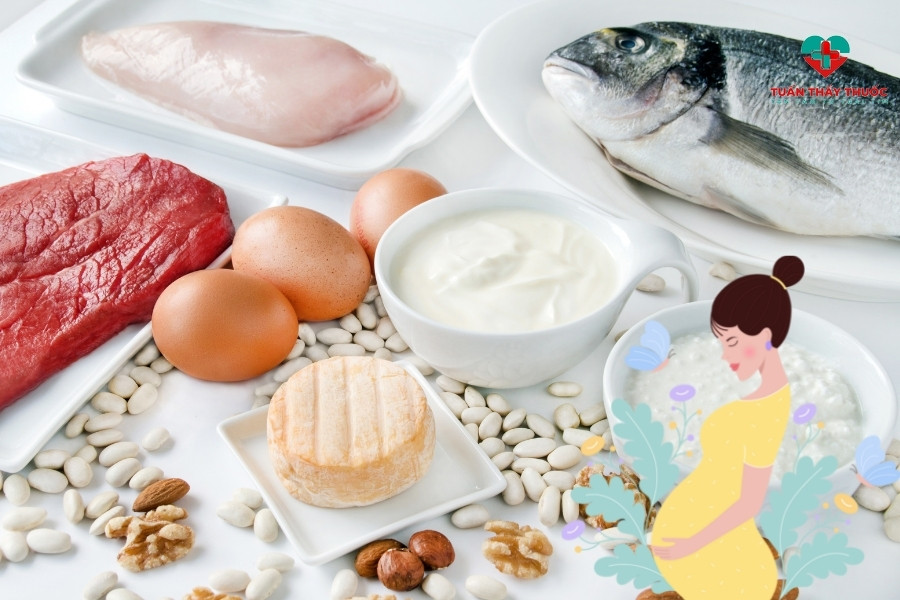 Thức ăn bổ sung protein cho mẹ bầu