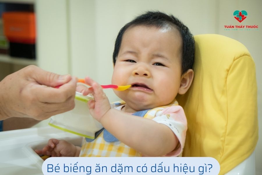 Bé biếng ăn dặm có dấu hiệu gì