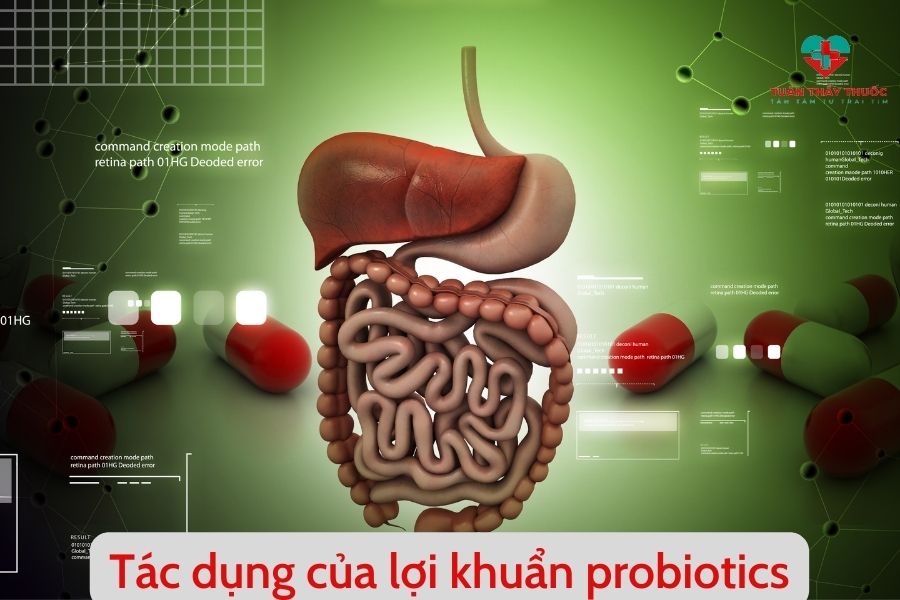 Tác dụng của lợi khuẩn probiotics