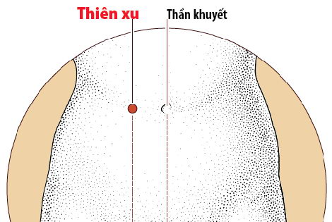 huyệt