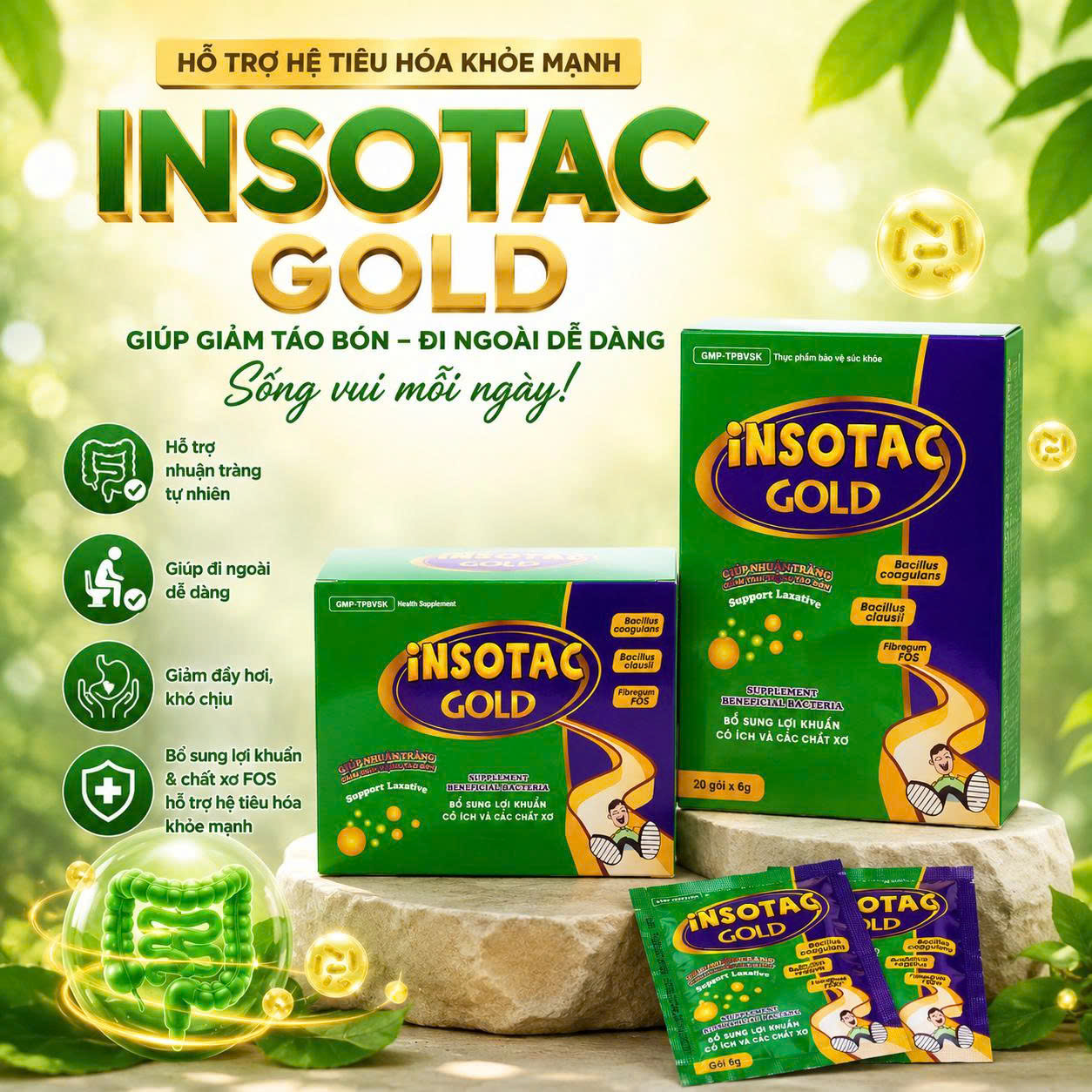 Vì Sao Mua Insotac Gold Tặng Kèm Enzyme Forte? Giải Mã Bộ Đôi Tiêu Hóa