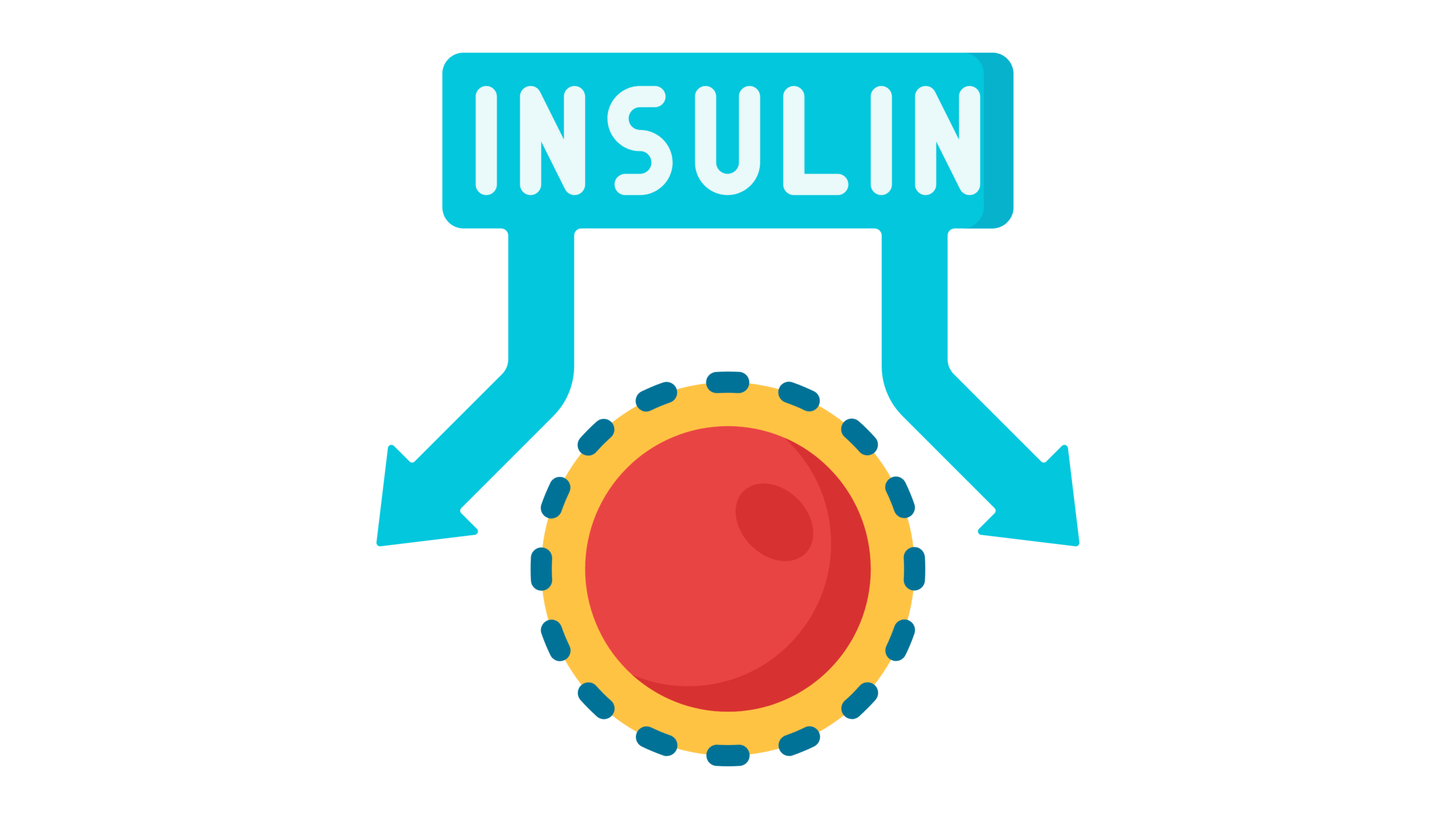 Đường huyết cao và kháng insulin ảnh hưởng đến nhu động ruột gây táo bón