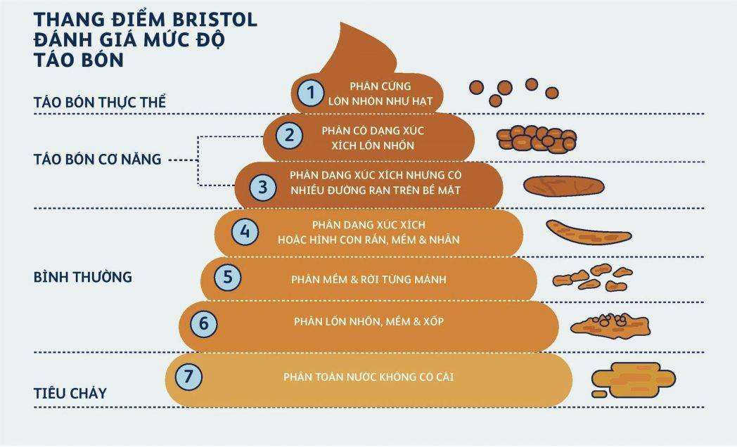 thang_bristol