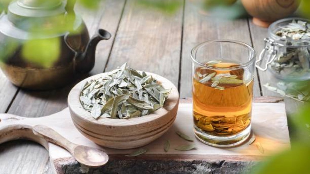 Trà phan tả diệp 1